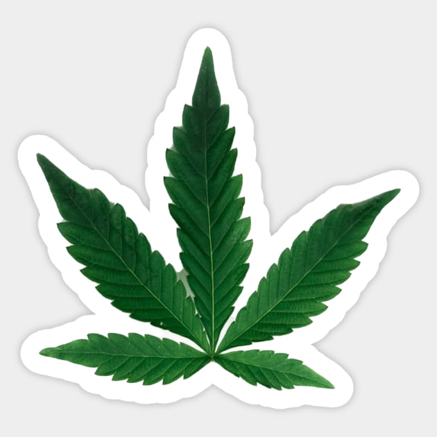 420 Sticker by HIghlandkings